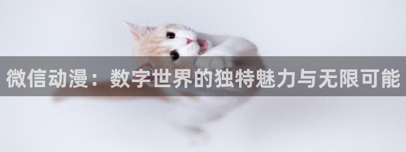 火狼动漫网入门
