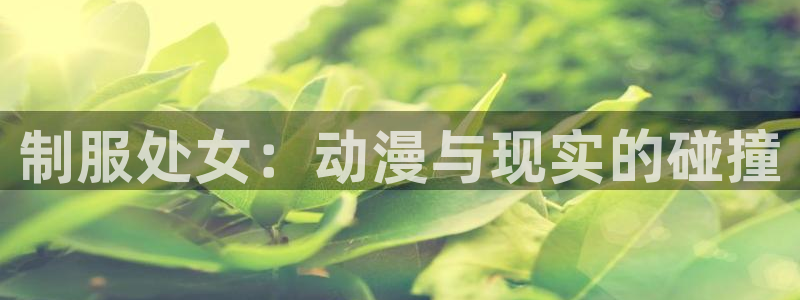 火狼动漫网官网进入